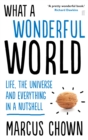 What a Wonderful World : One Man's Attempt to Explain the Big Stuff - eBook
