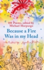 Because a Fire Was in My Head - Book