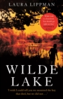 Wilde Lake : 'A Knockout' Stephen King - eBook