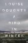 A Bird in Winter - eBook