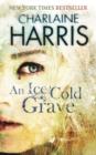 An Ice Cold Grave - eBook