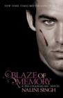 Blaze of Memory : Book 7 - eBook