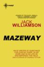 Mazeway - eBook