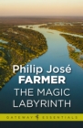 The Magic Labyrinth - eBook