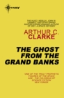 The Ghost From The Grand Banks - eBook