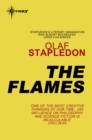 The Flames - eBook