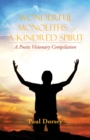 Wonderful Monoliths of a Kindred Spirit : A Poetic Visionary Complication - eBook