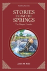 Stories From the Springs : The Niagara Frontier - eBook