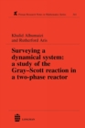 Surveying a Dynamical System : A Study of the Gray-Scott Reaction in a Two-Phase Reactor - Book