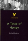 A Taste of Honey everything you need to catch up, study and prepare for and 2023 and 2024 exams and assessments - Book