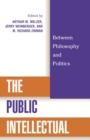 Public Intellectual : Between Philosophy and Politics - eBook