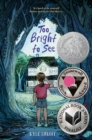 Too Bright to See - eBook