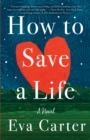 How to Save a Life - eBook