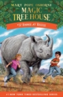 Rhinos at Recess - Book