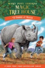 Rhinos at Recess - eBook