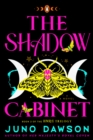 Shadow Cabinet - eBook