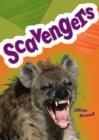 Pocket Facts Year 5: Scavengers - Book