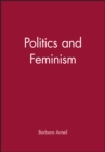 Politics and Feminism - Book