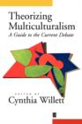 Theorizing Multiculturalism : A Guide to the Current Debate - Book