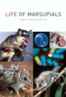 Life of Marsupials - eBook