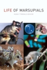 Life of Marsupials - eBook