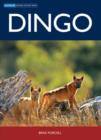 Dingo - eBook