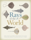 Rays of the World - eBook