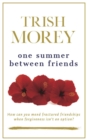 One Summer Between Friends - eBook