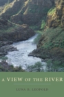 A View of the River - Book