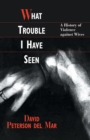 What Trouble I Have Seen : A History of Violence against Wives - eBook
