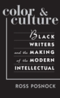 Color and Culture : Black Writers and the Making of the Modern Intellectual - eBook