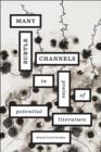 Many Subtle Channels : In Praise of Potential Literature - Book