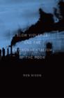 Slow Violence and the Environmentalism of the Poor - Book