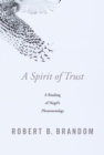 A Spirit of Trust : A Reading of Hegel's <i>Phenomenology</i> - eBook