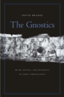 The Gnostics : Myth, Ritual, and Diversity in Early Christianity - eBook