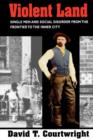 Violent Land : Single Men and Social Disorder from the Frontier to the Inner City - Book