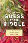 A Guess at the Riddle : Essays on the Physical Underpinnings of Quantum Mechanics - Book