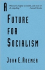 A Future for Socialism - Book