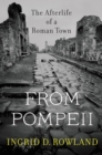 From Pompeii : The Afterlife of a Roman Town - eBook