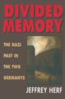 Divided Memory - eBook