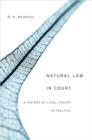 Natural Law in Court : A History of Legal Theory in Practice - eBook