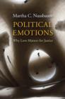 Political Emotions - eBook