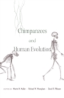 Chimpanzees and Human Evolution - eBook