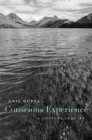 Conscious Experience : A Logical Inquiry - Book