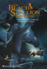 The Black Stallion Mystery - Book