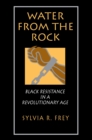 Water from the Rock : Black Resistance in a Revolutionary Age - Book