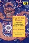 Fire in the Dragon and Other Psychoanalytic Essays on Folklore - Book