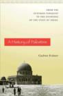 A History of Palestine : From the Ottoman Conquest to the Founding of the State of Israel - Book