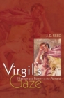 Virgil's Gaze : Nation and Poetry in the Aeneid - Book