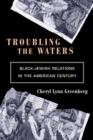 Troubling the Waters : Black-Jewish Relations in the American Century - Book
